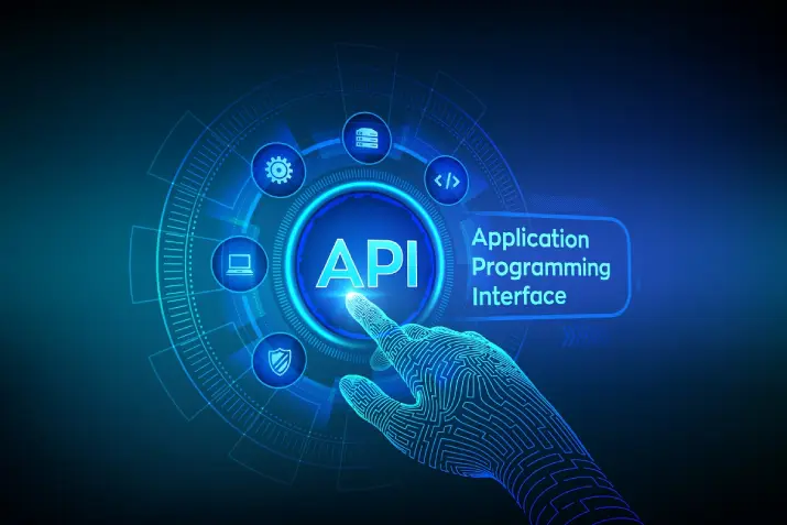 India Websoft API Development